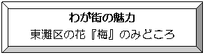 額縁: わが街の魅力
東灘区の花『梅』のみどころ
