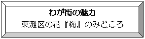 額縁: わが街の魅力
東灘区の花『梅』のみどころ
