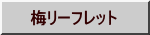 梅リーフレット